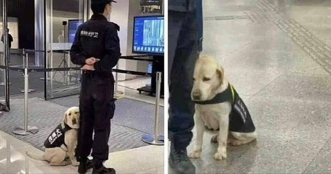 베프 이미지