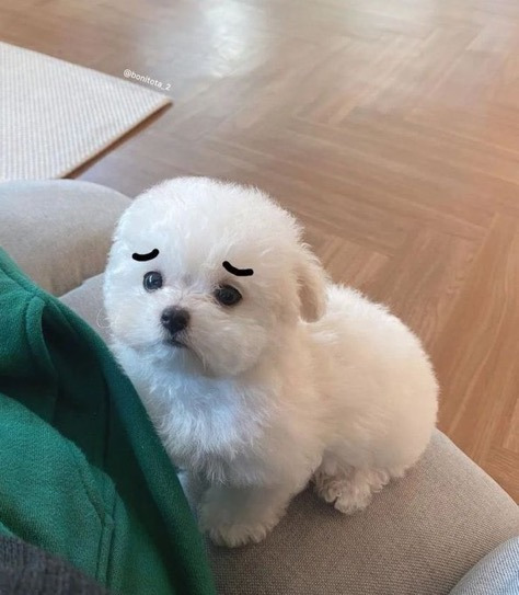 GOODLUCK 이미지