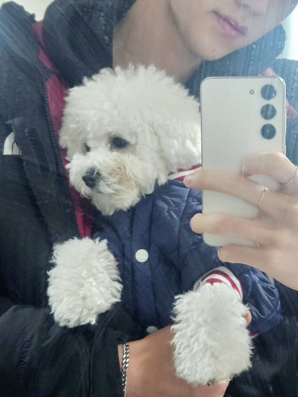 왕왕 이미지