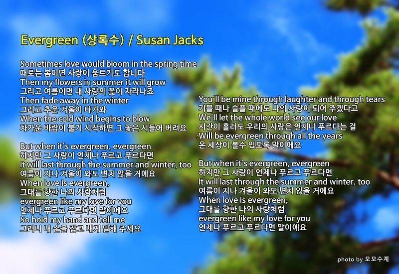 상록수(Evergreen) 이미지