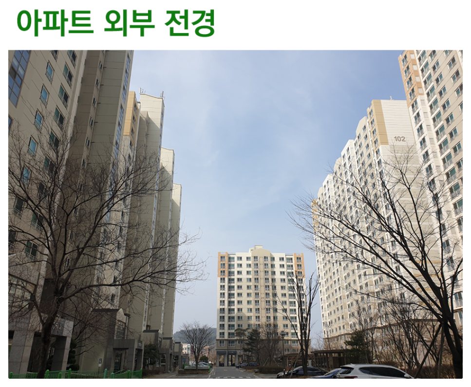 홍도동 다우 갤러리휴리움 195세대 청약 분석 | 대전 재건축 기대감과 현실 OG 3