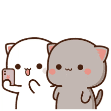 12 이미지