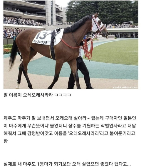 오레오레 이미지