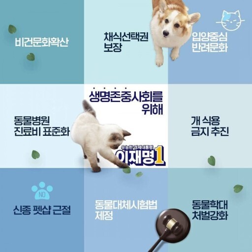 동물권에 진심이었던 경기도지사 시절 이재명 | 인스티즈