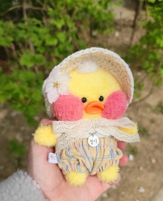 소소하게 유행하는 어른이 인형 | 인스티즈