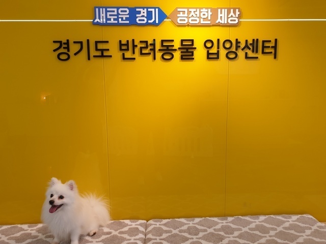 동물권에 진심이었던 경기도지사 시절 이재명 | 인스티즈
