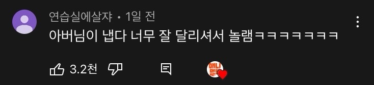 강아지가 아빠랑 하는 산책을 좋아하는 이유 | 인스티즈