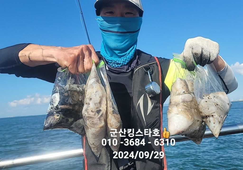 킹스타 이미지
