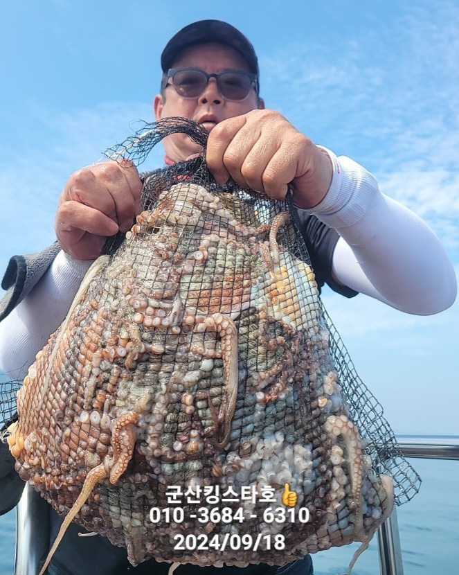 킹스타 이미지