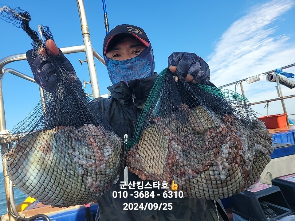 킹스타 이미지