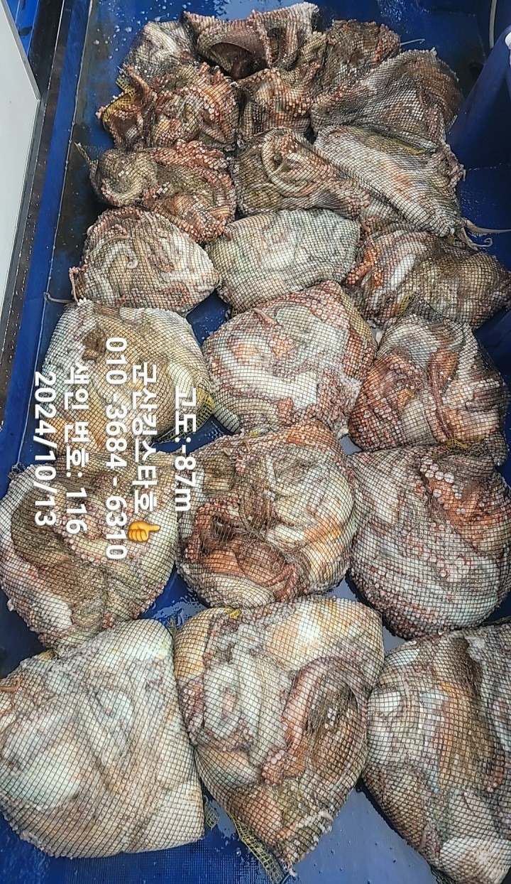스타13 이미지