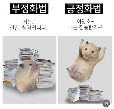 미미미 이미지