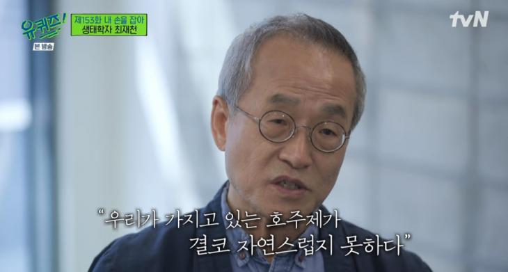 드라마 이상한 변호사 우영우에서 언급된 남방큰돌고래 삼팔이, 춘삼이, 복순이의 tmi | 인스티즈
