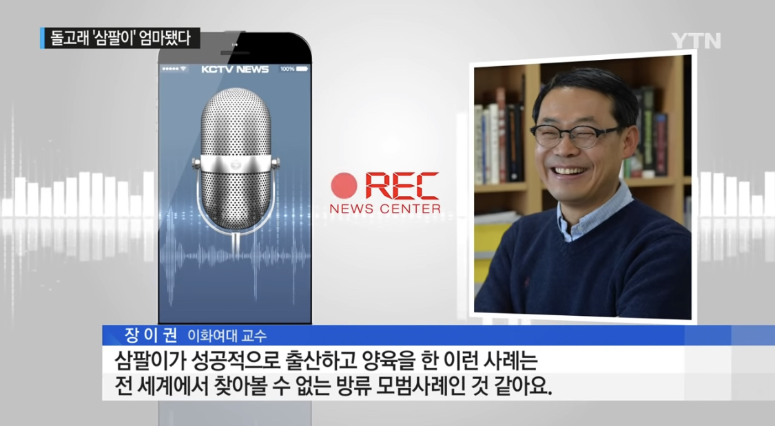 드라마 이상한 변호사 우영우에서 언급된 남방큰돌고래 삼팔이, 춘삼이, 복순이의 tmi | 인스티즈