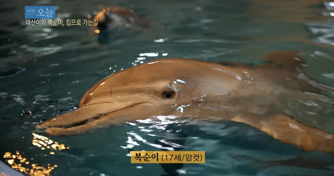삼팔이 이미지