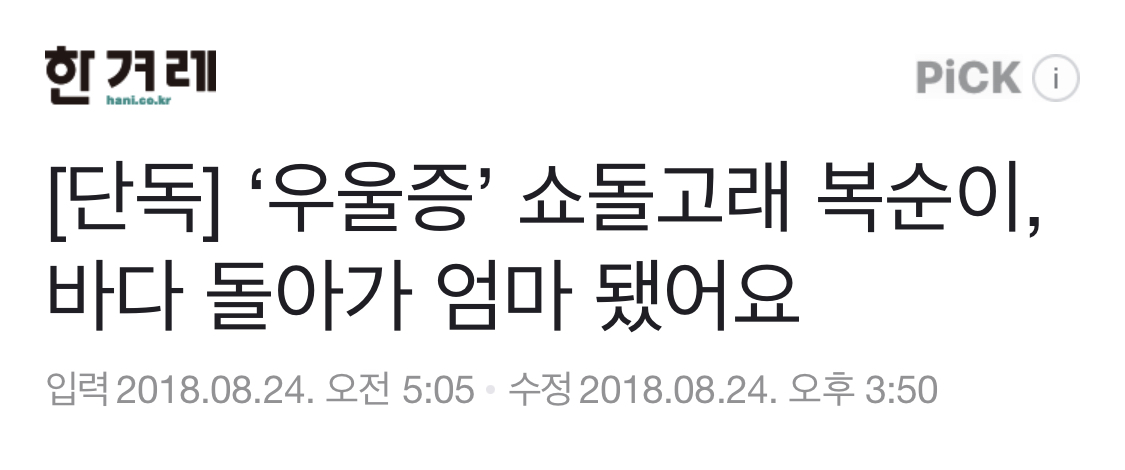 드라마 이상한 변호사 우영우에서 언급된 남방큰돌고래 삼팔이, 춘삼이, 복순이의 tmi | 인스티즈