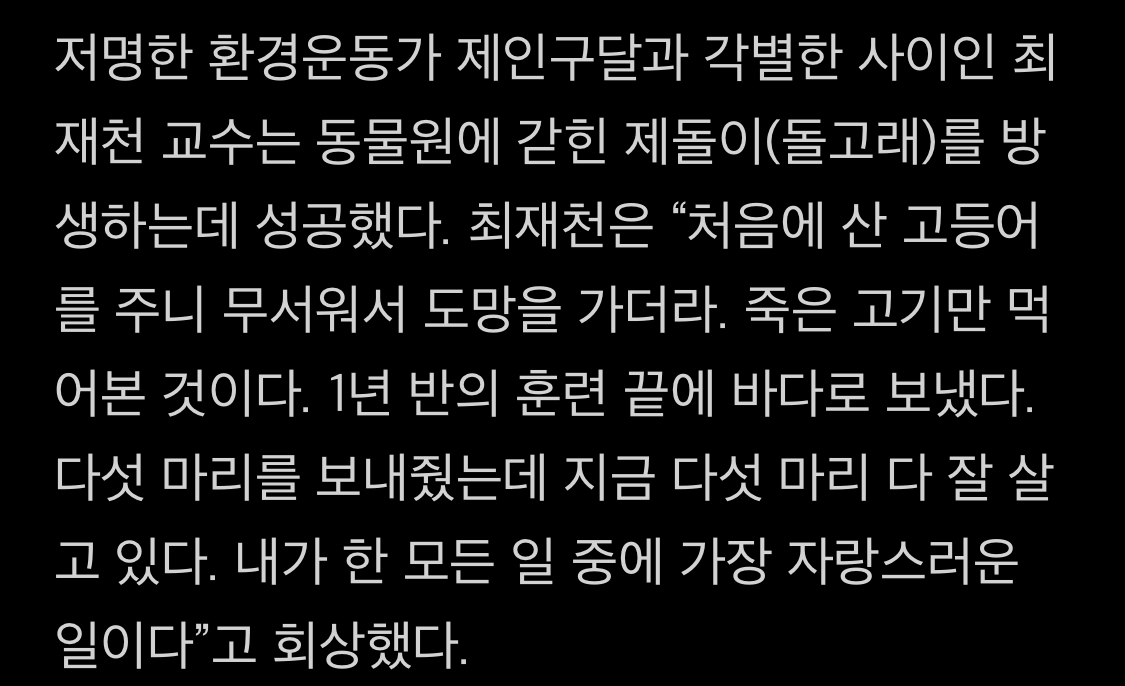 드라마 이상한 변호사 우영우에서 언급된 남방큰돌고래 삼팔이, 춘삼이, 복순이의 tmi | 인스티즈