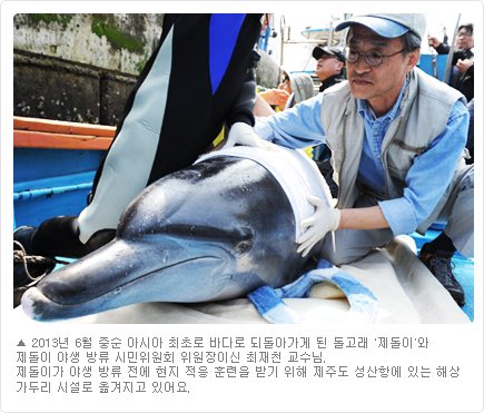 드라마 이상한 변호사 우영우에서 언급된 남방큰돌고래 삼팔이, 춘삼이, 복순이의 tmi | 인스티즈