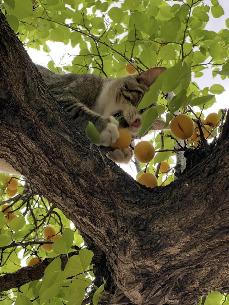 진짜로 끝나버렸어 여름! | 인스티즈