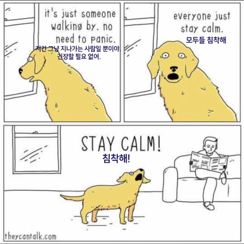 강아지 짤 모음(개많음) | 인스티즈