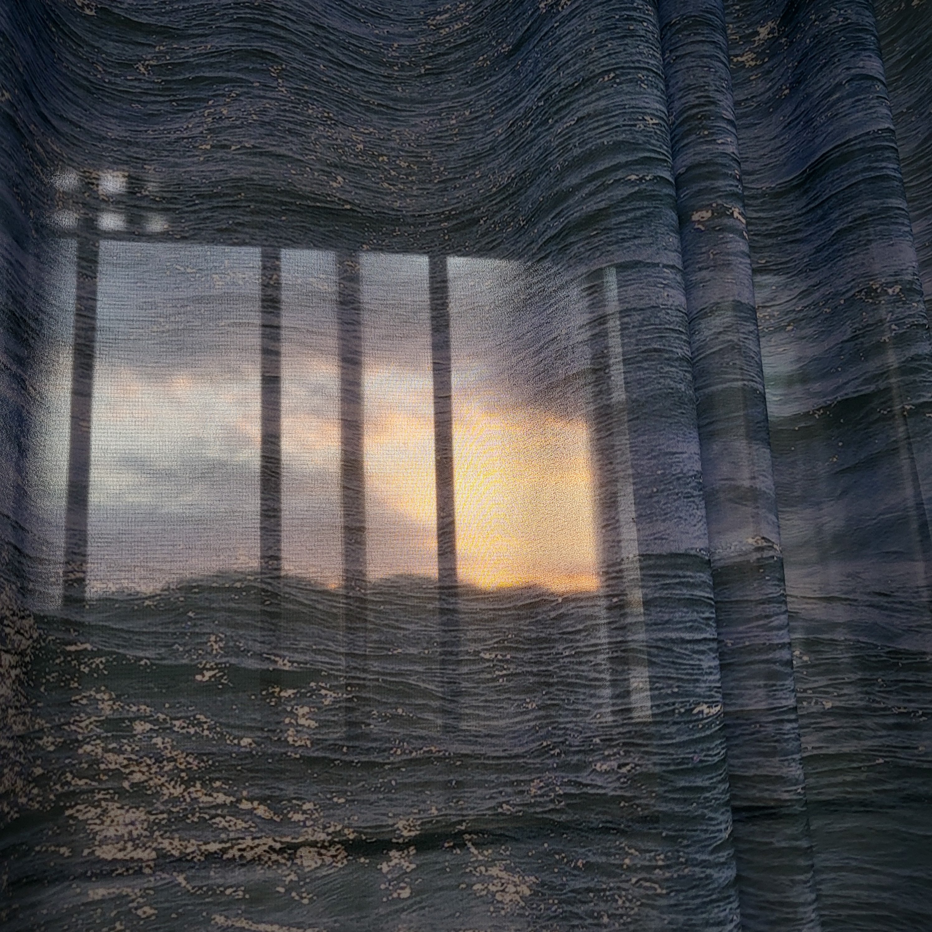 여름 향기 나는 사진 공유하는 글 | 인스티즈