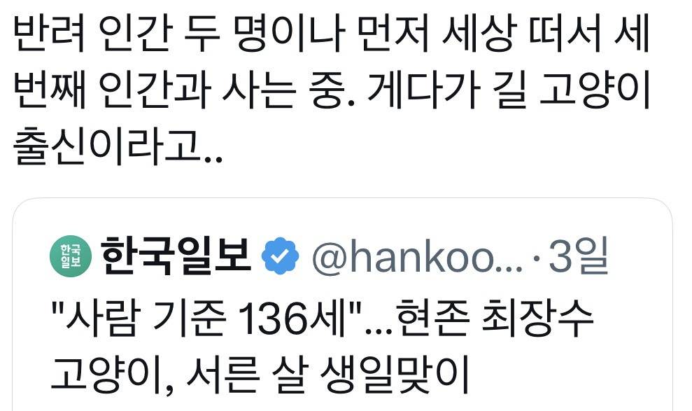 "사람 기준 136세"…현존 최장수 고양이, 서른 살 생일맞이 | 인스티즈