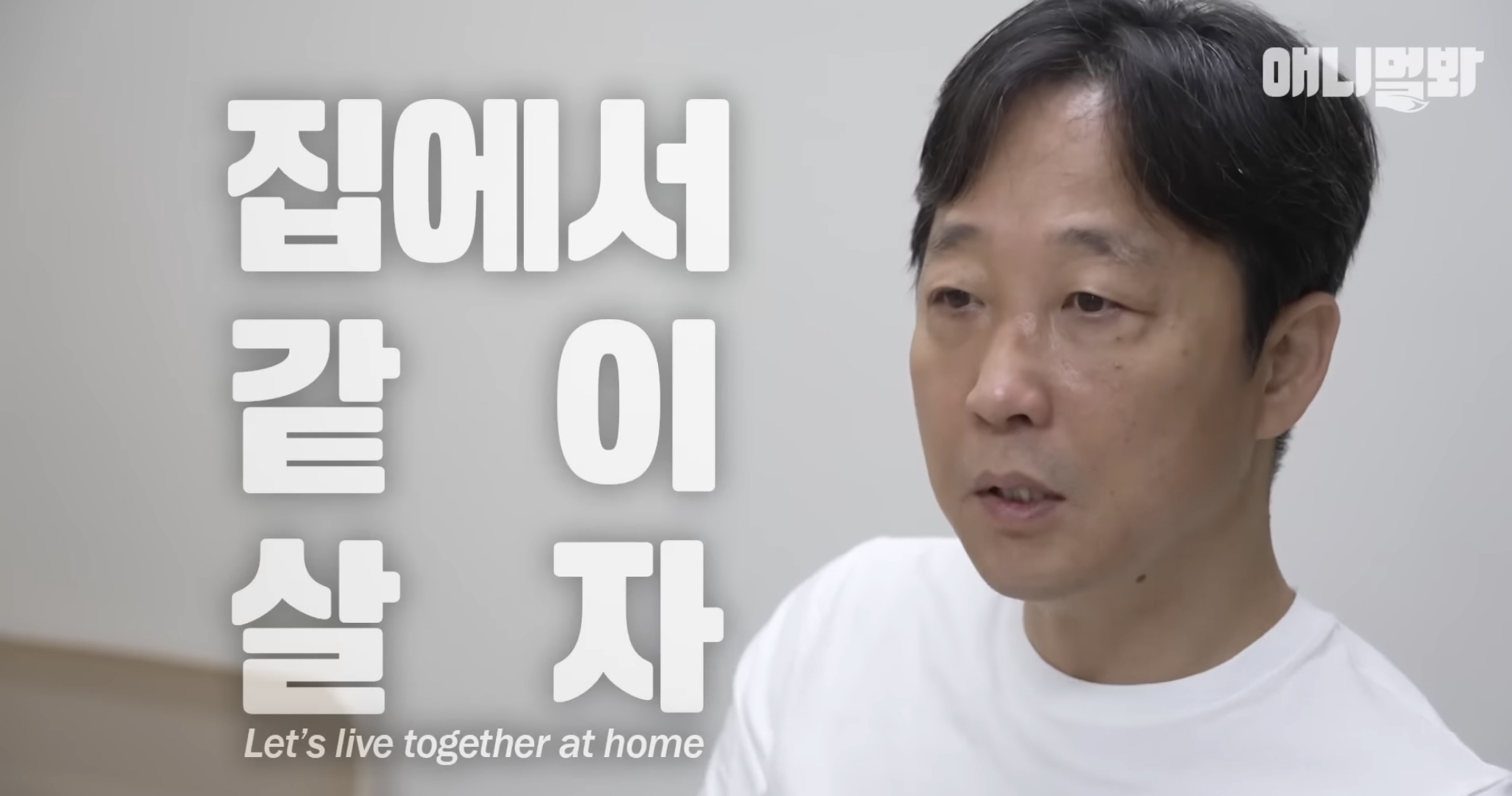 유기견들의 입양을 위해 논산에 집을 산 사람 | 인스티즈