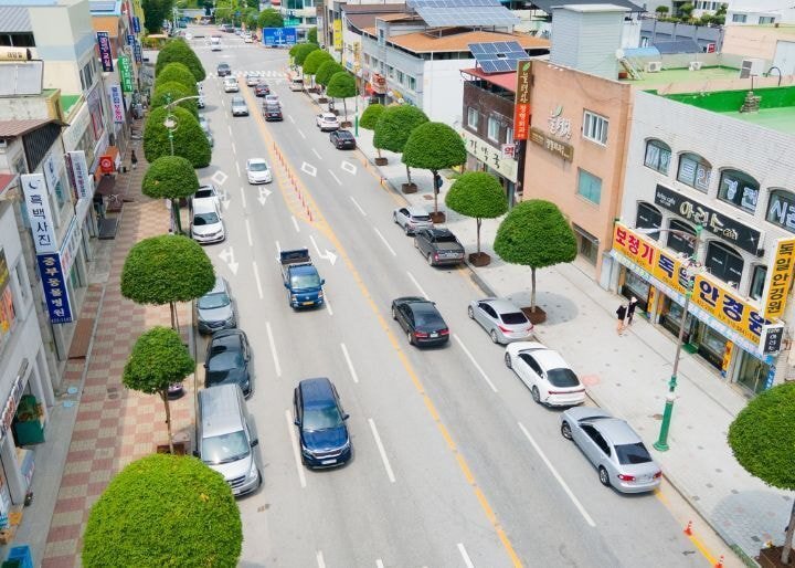 충북 단양군 읍내의 버섯돌이 가로수 | 인스티즈