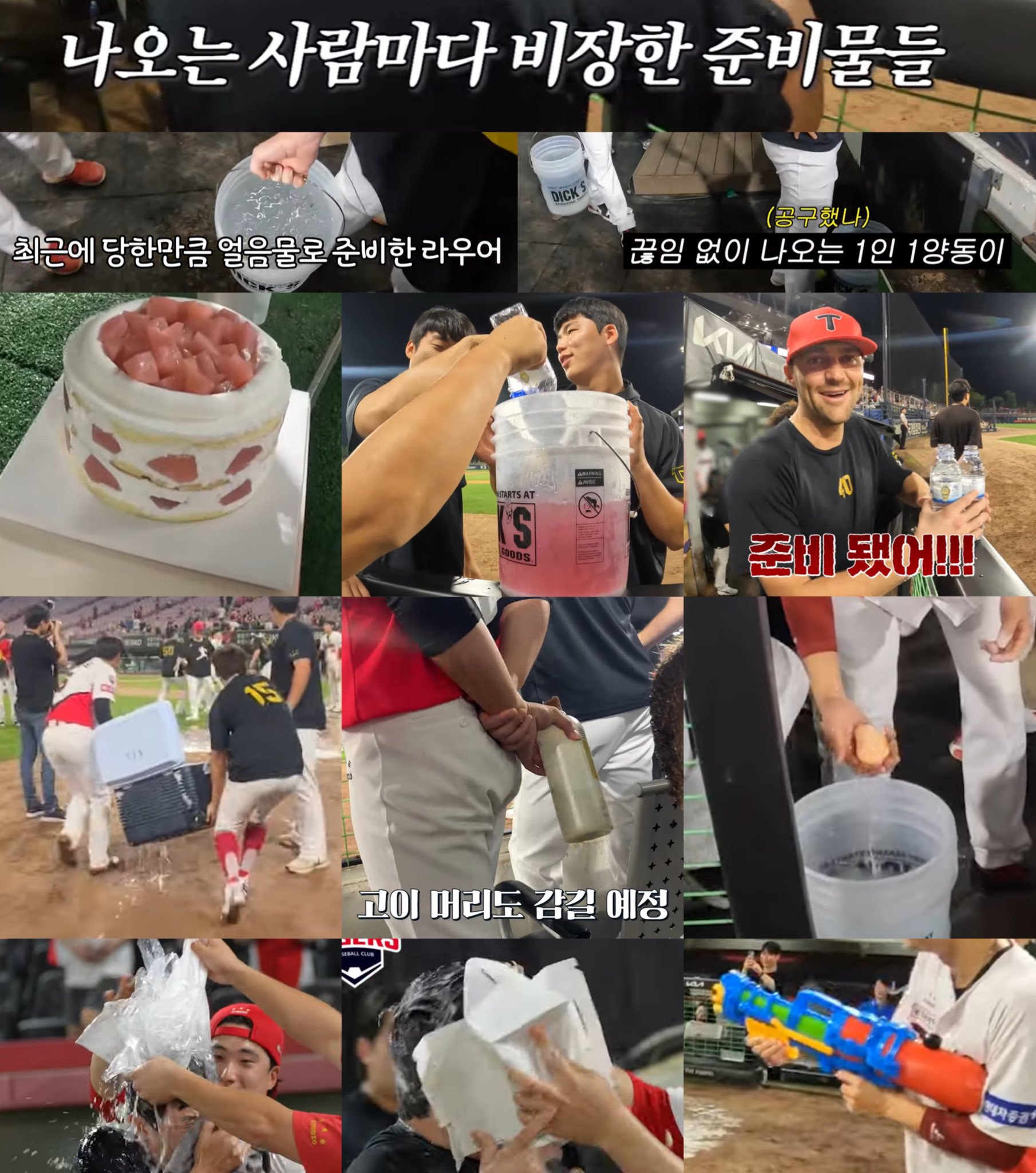 우양 이미지