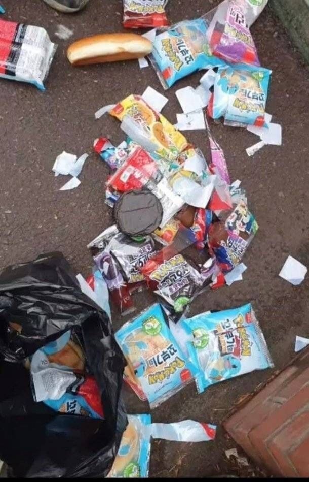 버려지는 포켓몬빵들 | 인스티즈