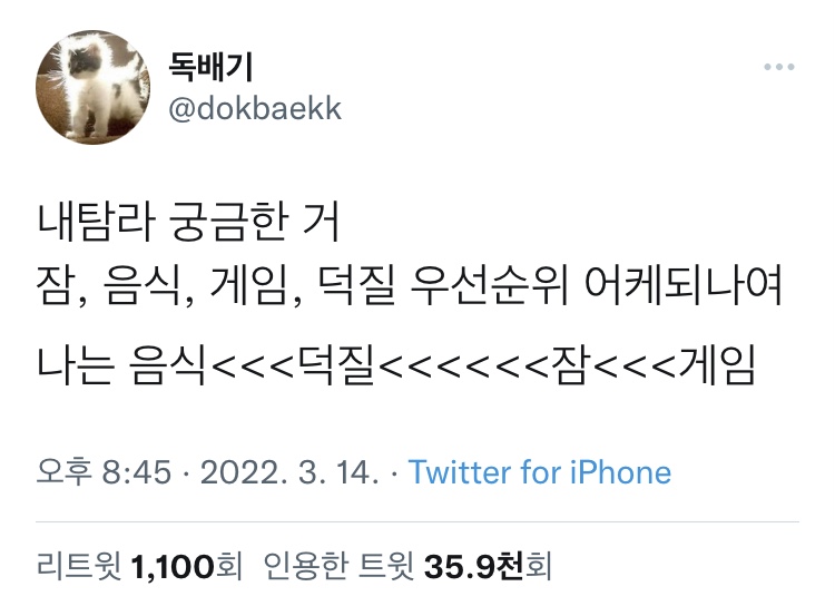 잠 음식 게임 덕질 우선순위 어케 되나여.twt | 인스티즈
