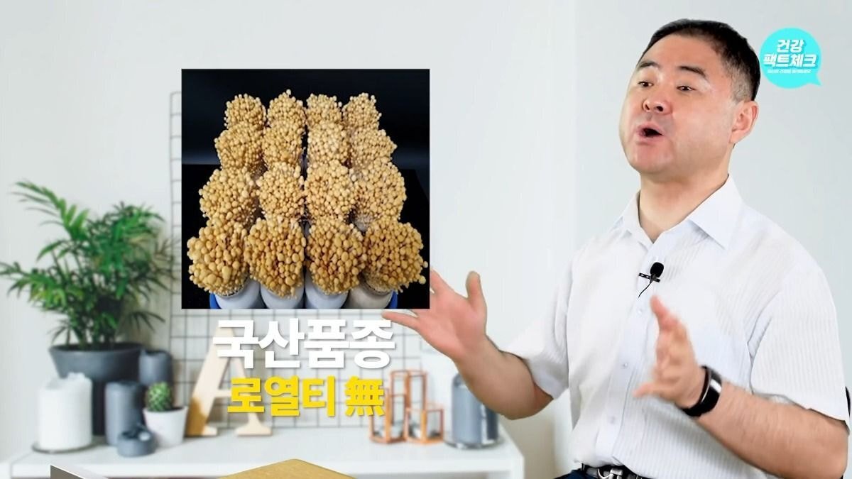 마트에서 팽이버섯을 살 때 가급적이면 흰색 말고 갈색 팽이버섯으로 구입하자.jpg | 인스티즈