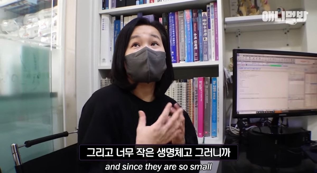요즘 사람들이 쉽게 유기하는 동물 | 인스티즈