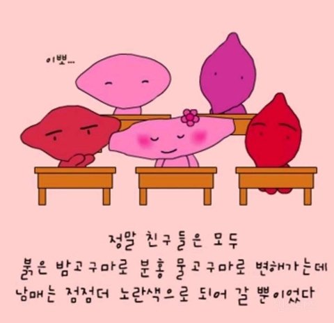 충격적인 감자도리 스토리 | 인스티즈