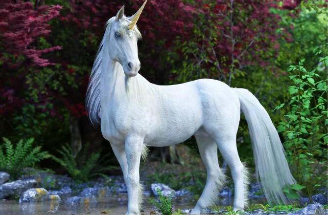한 마리만 다스릴 수 있다면 고르고 싶은 환상의 동물은? | 인스티즈