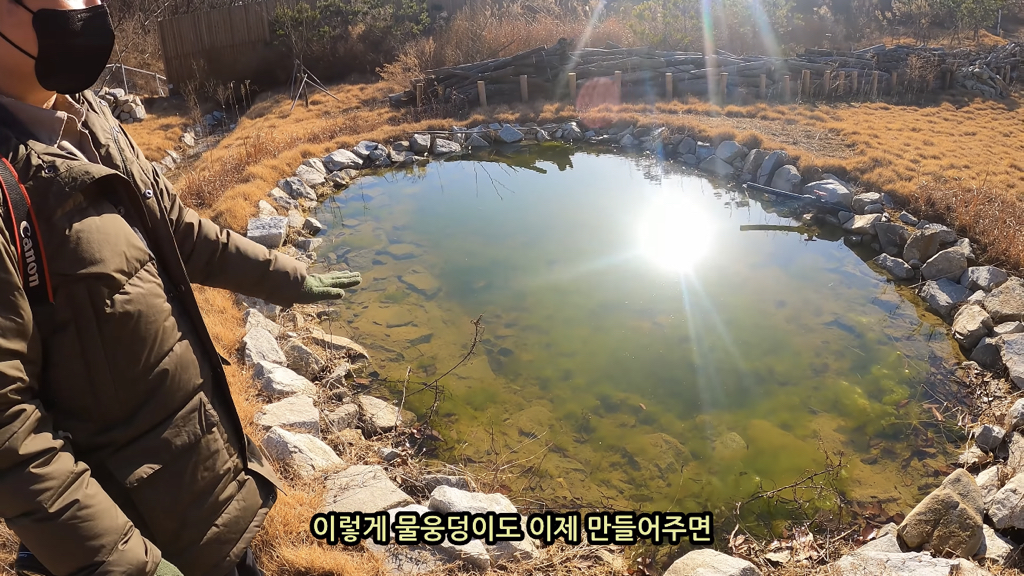 고속도로에 있는 생태통로 진짜 야생동물이 다닐까? | 인스티즈