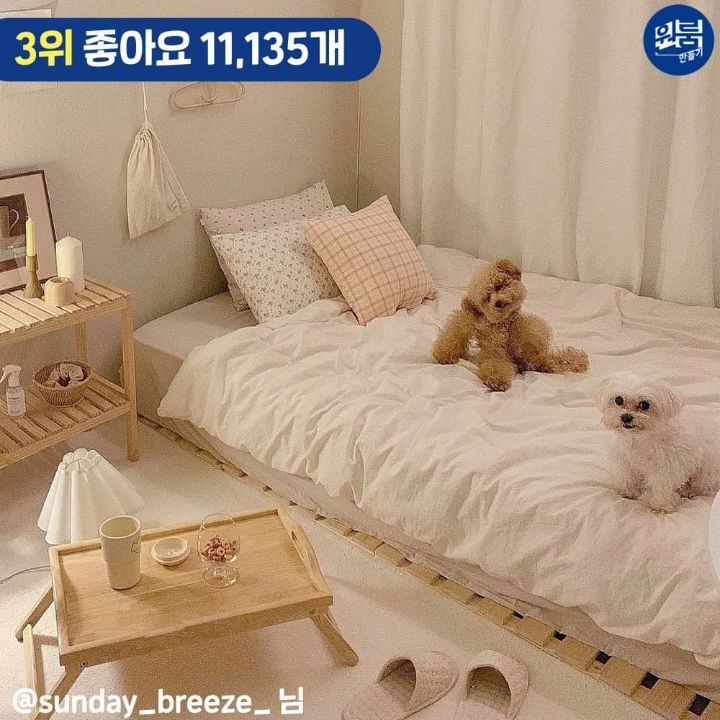 2021 상반기 좋아요 많이 받은 자취방 BEST9 | 인스티즈