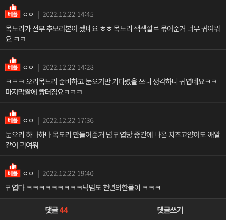 눈오리에 진심 | 인스티즈