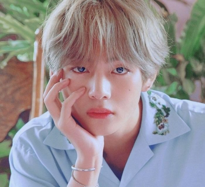 3대 미인점을 모두 소유하고 있는 남자, 세계 미남 1위 뷔 | 인스티즈