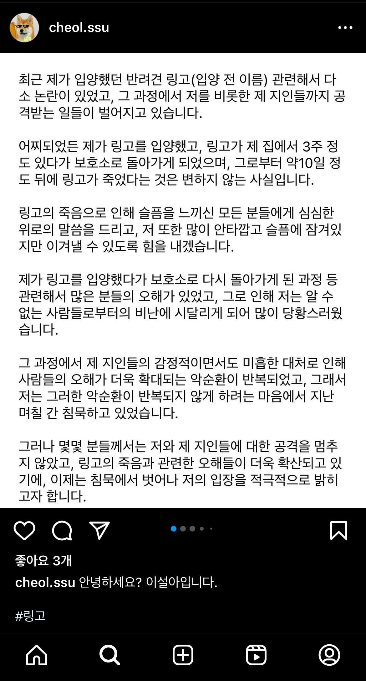파양된 후 식음전폐하다 하늘나라 간 강아지 링고의 파양자 입장문(+ 입양센터(구조단체) 입장문) | 인스티즈