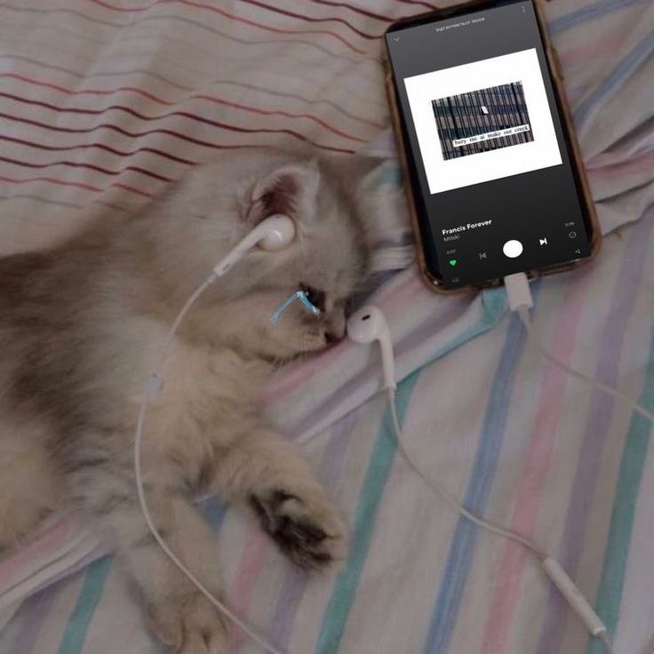 진짜 좋아했는데 더 이상 들을 수 없게 된 노래 있어? | 인스티즈