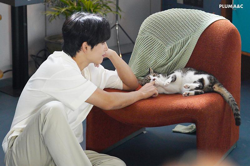 담당자 사심이 느껴지는 배우의 네이버포스트(feat.고양이) | 인스티즈
