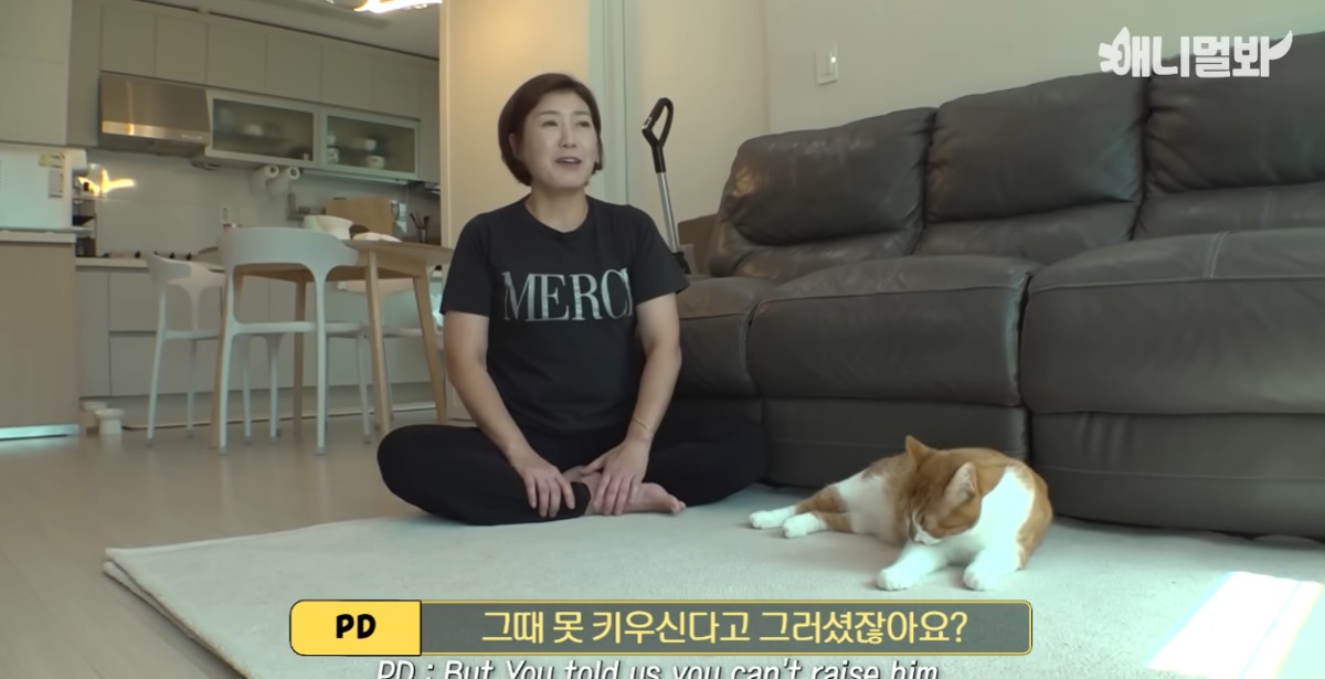 미용실 오픈런 하던 고양이의 근황 | 인스티즈