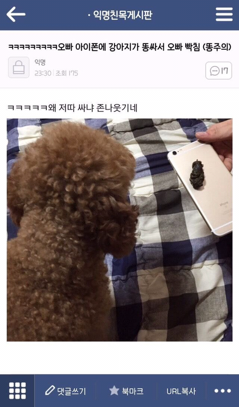 첨보는거같은 익웃 모음 | 인스티즈