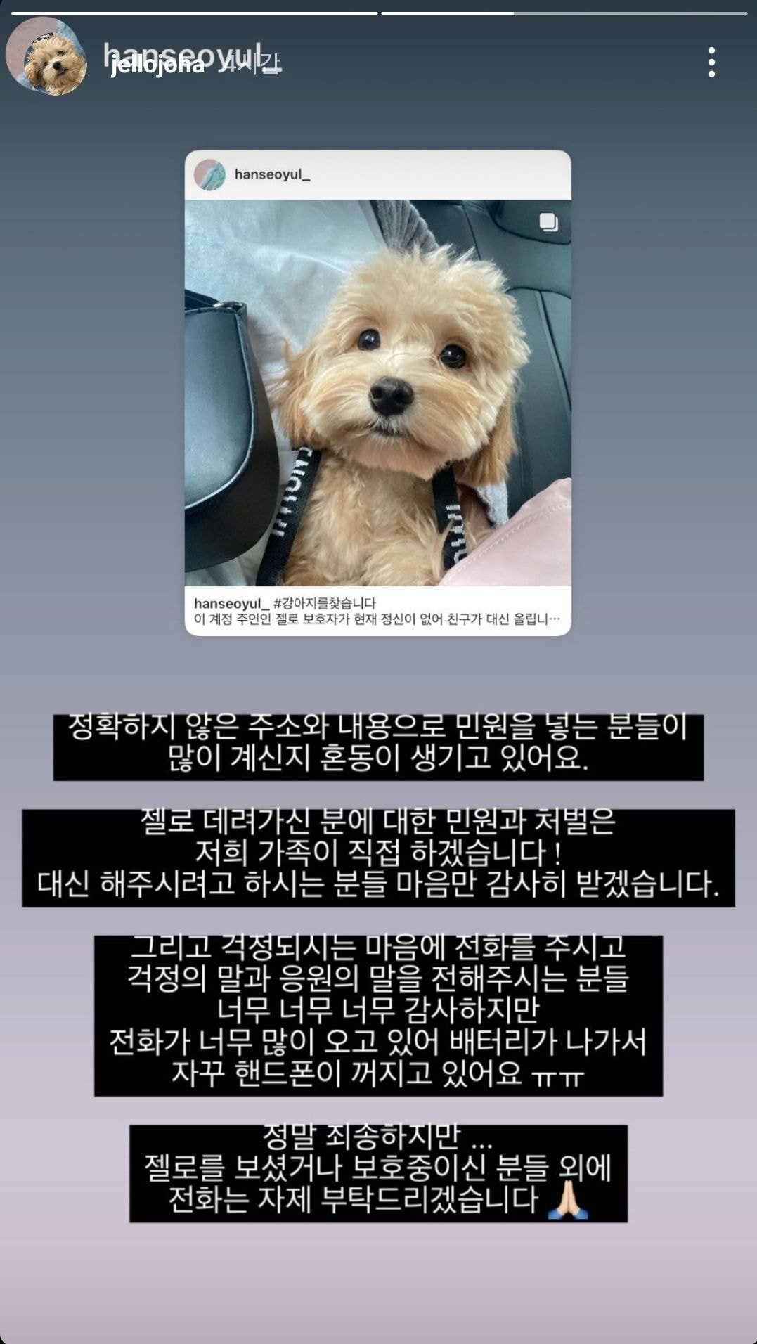 가스검침원이 마음대로 강아지 데리고 나갔다가 강아지 잃어버림 (강서구) | 인스티즈