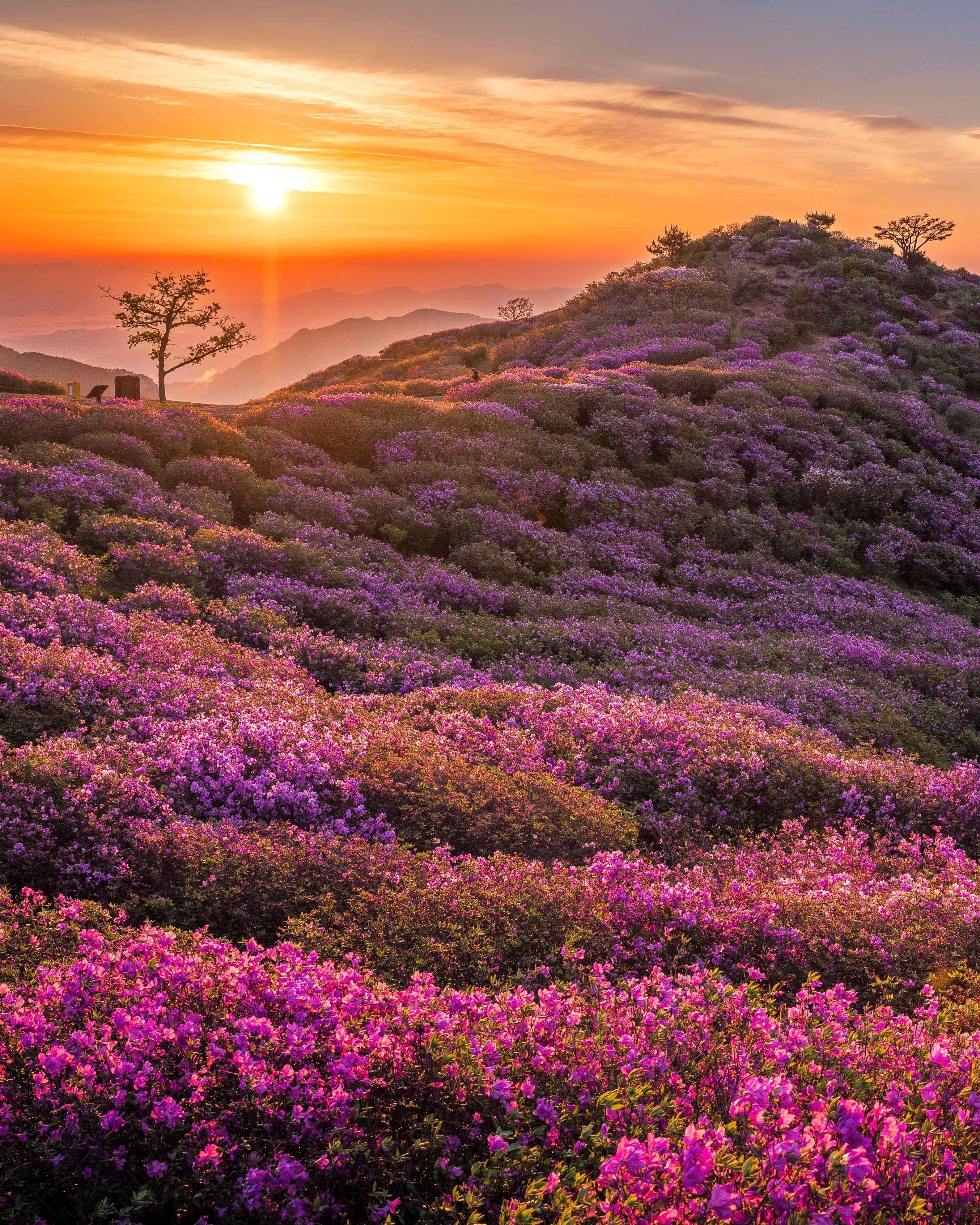 한국관광공사 계정에서 볼 수 있는 한국 | 인스티즈