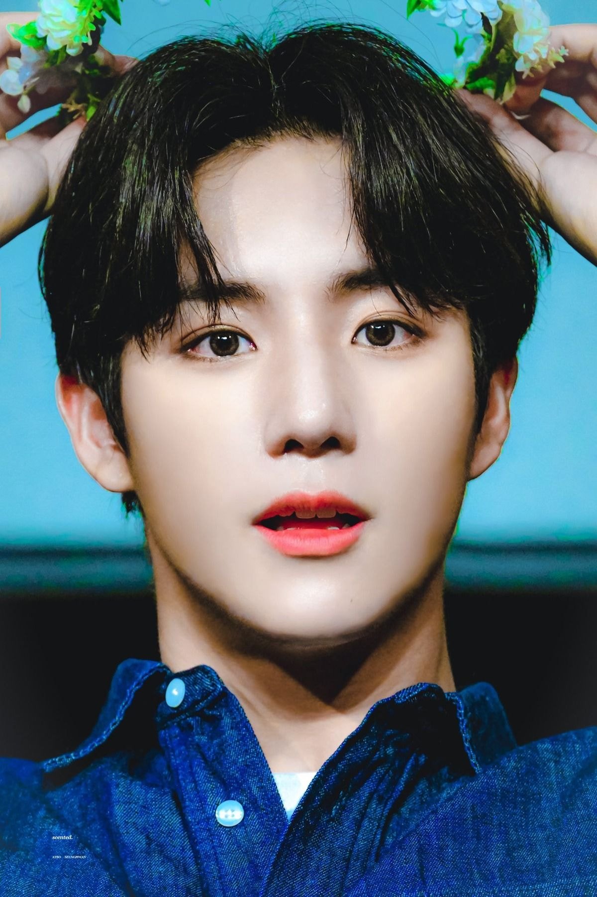 당신의 아이돌은 1월생인가요? | 인스티즈