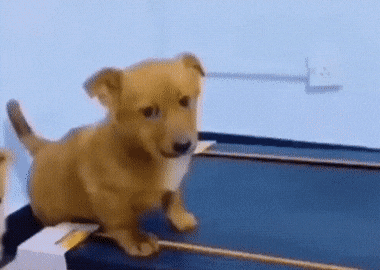 누가 봐도 하기 싫은 표정 | 인스티즈