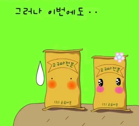 충격적인 감자도리 스토리 | 인스티즈