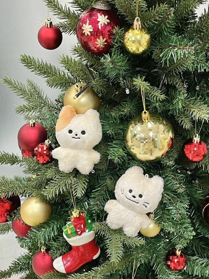 요즘 아이돌 팬들 사이 덕질 필수템 중에 하나인 것 | 인스티즈